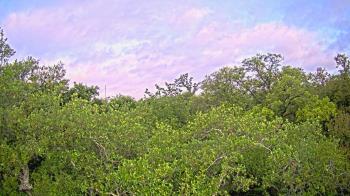 Weather camera view of Metairie Club Gardens.