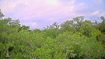 Weather camera view of Metairie Club Gardens.