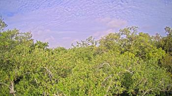 Weather camera view of Metairie Club Gardens.