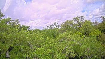 Weather camera view of Metairie Club Gardens.