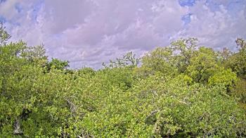 Weather camera view of Metairie Club Gardens.
