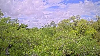 Weather camera view of Metairie Club Gardens.