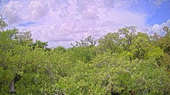 Weather camera view of Metairie Club Gardens.