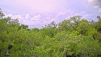 Weather camera view of Metairie Club Gardens.