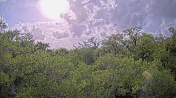 Weather camera view of Metairie Club Gardens.