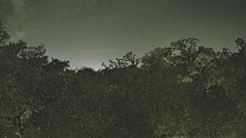 Weather camera view of Metairie Club Gardens.