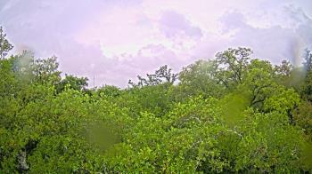Weather camera view of Metairie Club Gardens.