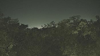 Weather camera view of Metairie Club Gardens.