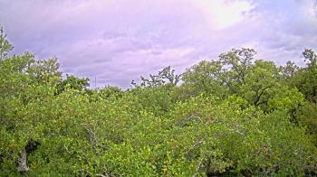 Weather camera view of Metairie Club Gardens.
