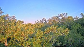 Weather camera view of Metairie Club Gardens.
