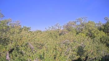 Weather camera view of Metairie Club Gardens.