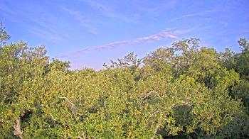 Weather camera view of Metairie Club Gardens.