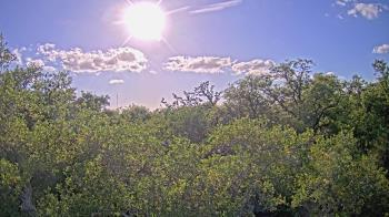 Weather camera view of Metairie Club Gardens.