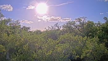 Weather camera view of Metairie Club Gardens.