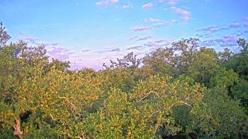 Weather camera view of Metairie Club Gardens.