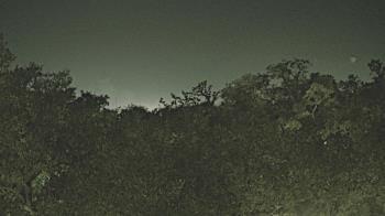 Weather camera view of Metairie Club Gardens.