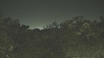 Weather camera view of Metairie Club Gardens.