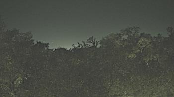 Weather camera view of Metairie Club Gardens.