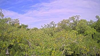 Weather camera view of Metairie Club Gardens.