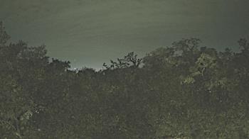 Weather camera view of Metairie Club Gardens.