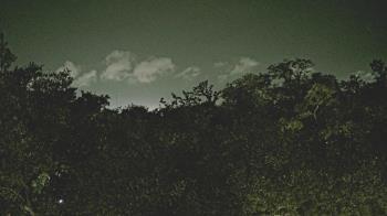 Weather camera view of Metairie Club Gardens.