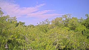 Weather camera view of Metairie Club Gardens.
