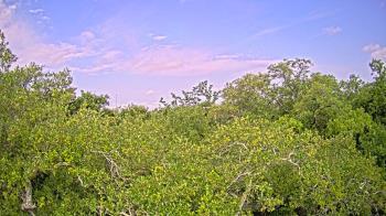 Weather camera view of Metairie Club Gardens.