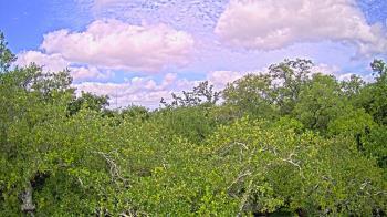 Weather camera view of Metairie Club Gardens.