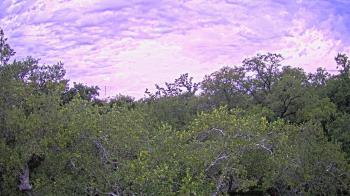 Weather camera view of Metairie Club Gardens.