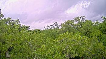 Weather camera view of Metairie Club Gardens.