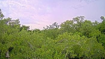 Weather camera view of Metairie Club Gardens.