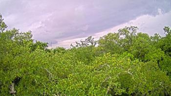Weather camera view of Metairie Club Gardens.
