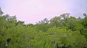 Weather camera view of Metairie Club Gardens.