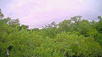 Weather camera view of Metairie Club Gardens.