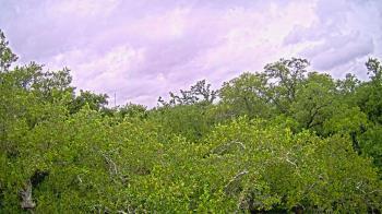 Weather camera view of Metairie Club Gardens.