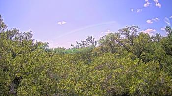 Weather camera view of Metairie Club Gardens.