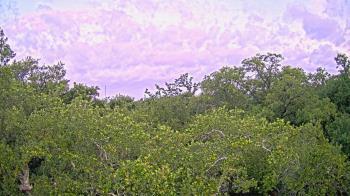 Weather camera view of Metairie Club Gardens.