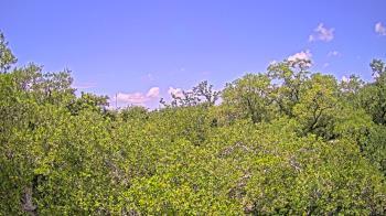 Weather camera view of Metairie Club Gardens.
