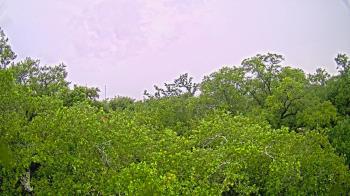 Weather camera view of Metairie Club Gardens.