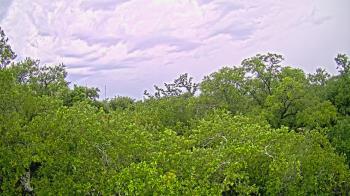 Weather camera view of Metairie Club Gardens.