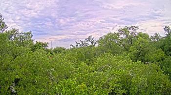 Weather camera view of Metairie Club Gardens.
