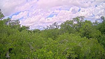 Weather camera view of Metairie Club Gardens.