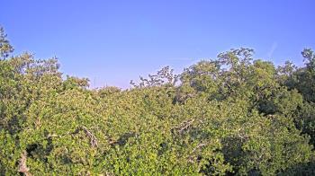 Weather camera view of Metairie Club Gardens.