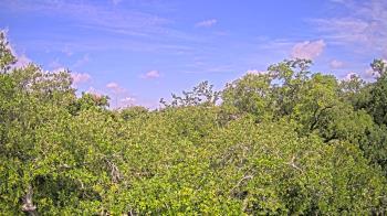Weather camera view of Metairie Club Gardens.