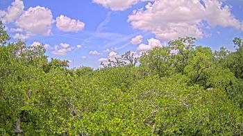 Weather camera view of Metairie Club Gardens.