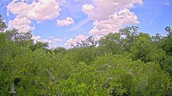 Weather camera view of Metairie Club Gardens.