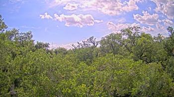 Weather camera view of Metairie Club Gardens.