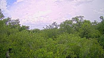 Weather camera view of Metairie Club Gardens.