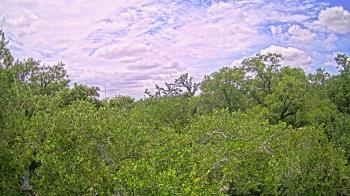 Weather camera view of Metairie Club Gardens.
