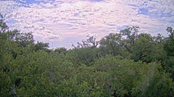 Weather camera view of Metairie Club Gardens.